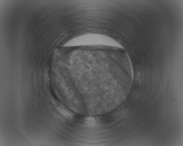 X0000080740616200701121938