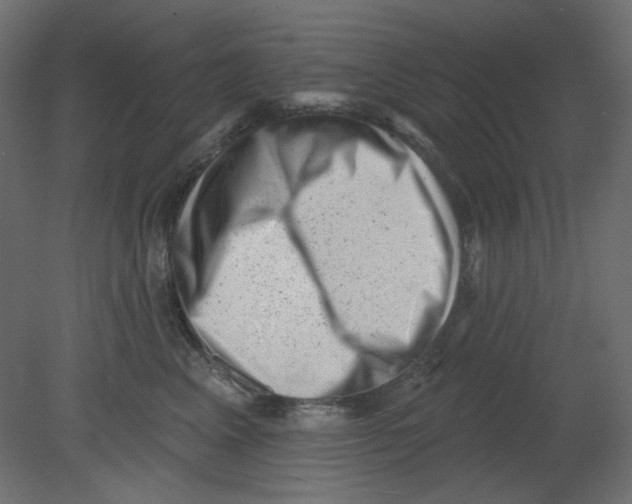 X0000080740617200701121938