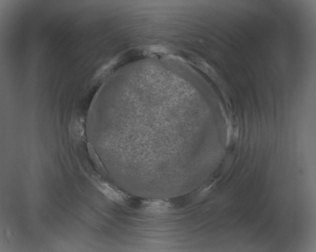 X0000080740621200701121938