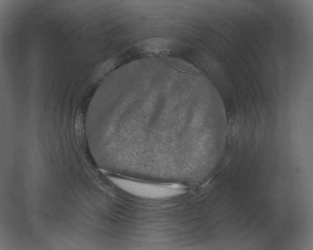 X0000080740623200701121938