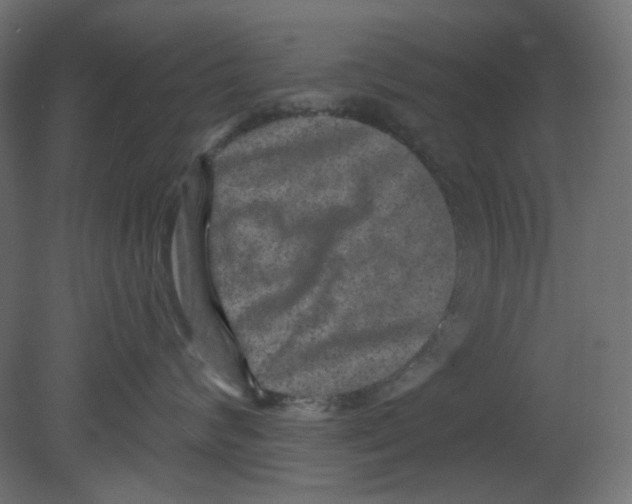 X0000080740624200701121938