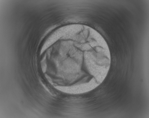 X0000080740626200701121937