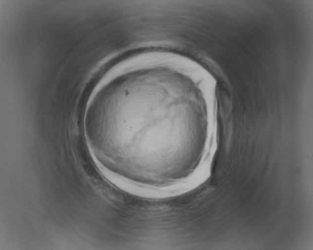 X0000080740628200701121937