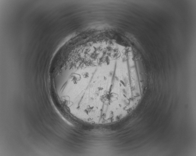 X0000080740630200701121937