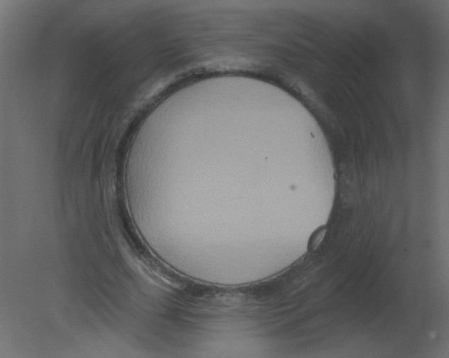 X0000080740631200701121937