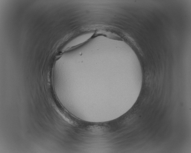 X0000080740633200701121937