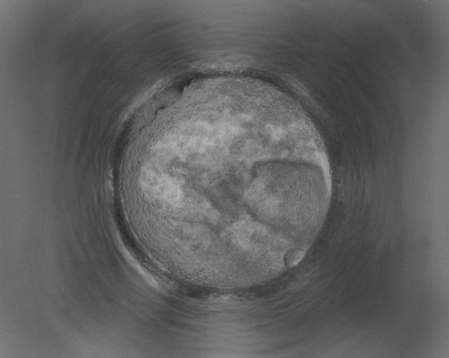 X0000080740634200701121937