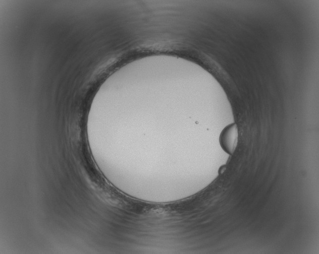 X0000080740635200701121937