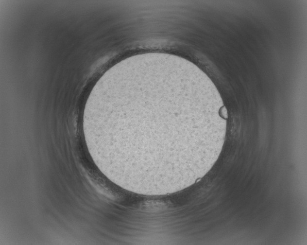 X0000080740636200701121938