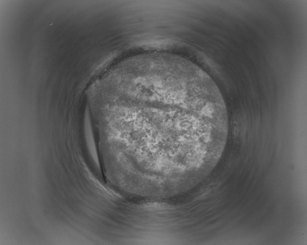 X0000080740637200701121938