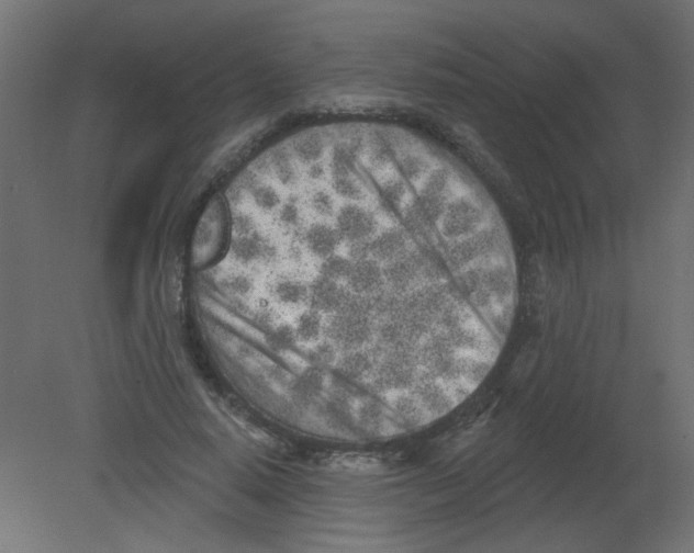 X0000080740640200701121938