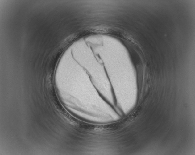 X0000080740641200701121938