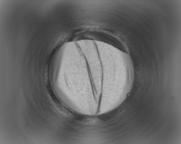 X0000080740642200701121938