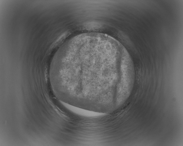 X0000080740644200701121938