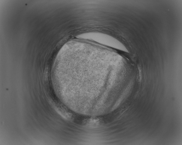 X0000080740647200701121938