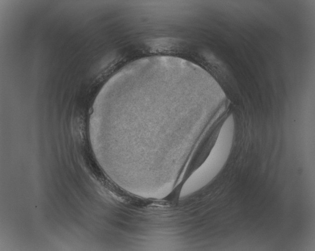 X0000080740648200701121938