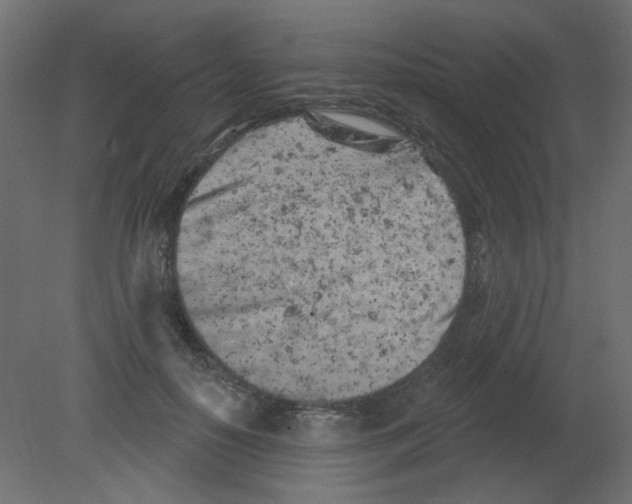 X0000080740650200701121938