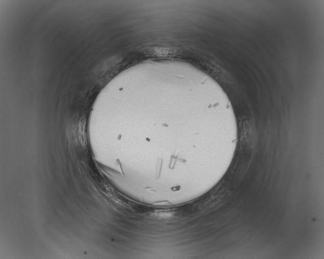 X0000080740651200701121938