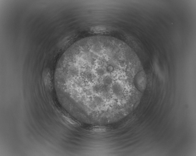 X0000080740653200701121938