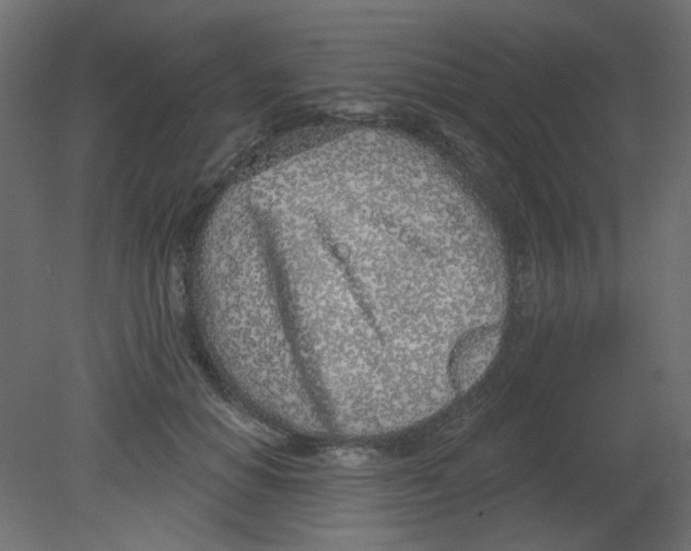 X0000080740654200701121938