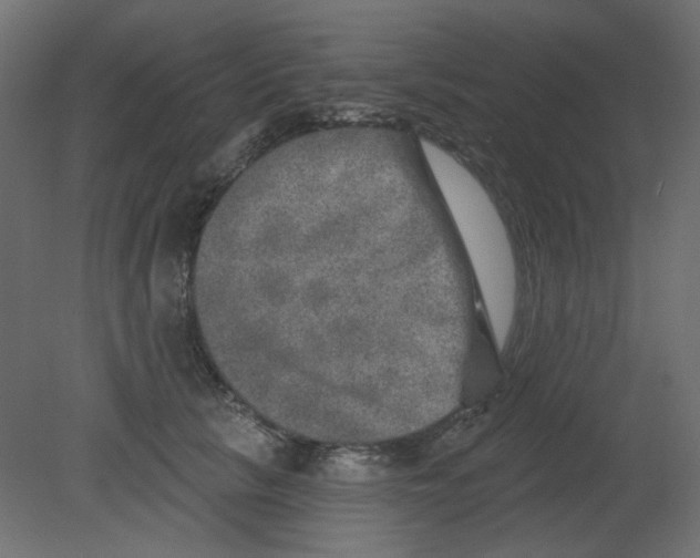 X0000080740657200701121938