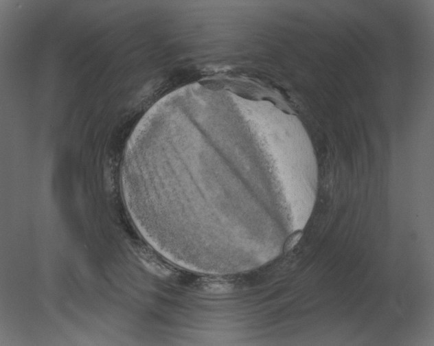 X0000080740658200701121938