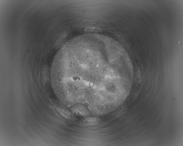 X0000080740659200701121938