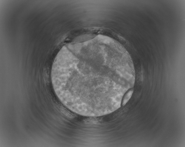 X0000080740661200701121938