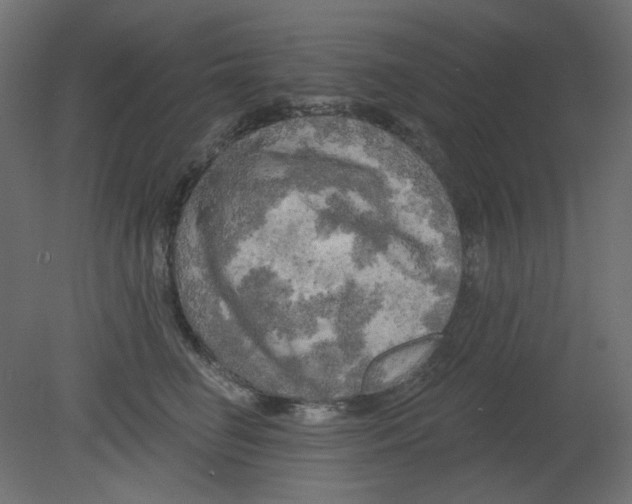 X0000080740662200701121938