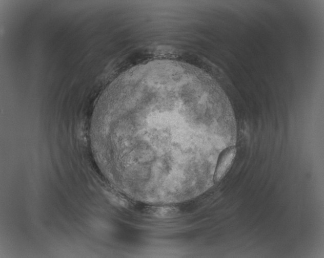 X0000080740663200701121938