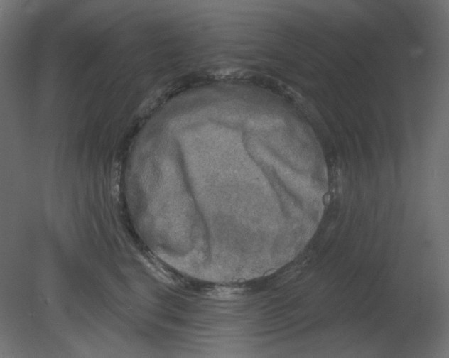 X0000080740664200701121938