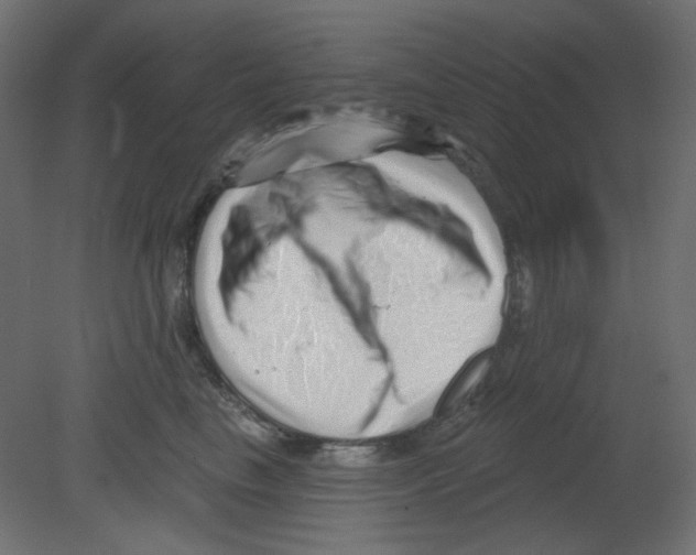 X0000080740665200701121938