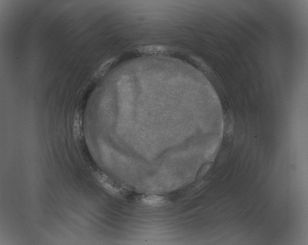 X0000080740669200701121938