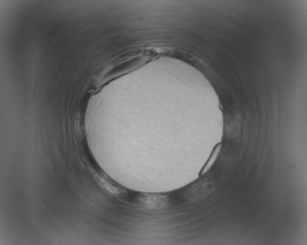 X0000080740670200701121938