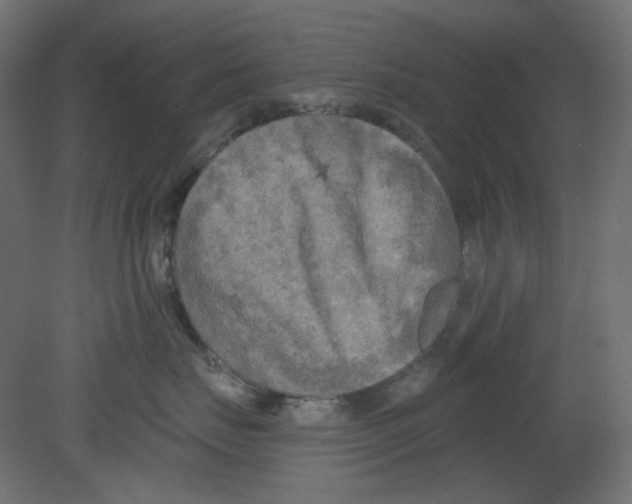 X0000080740671200701121938