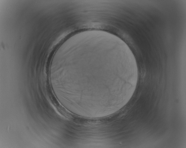 X0000080740674200701121937