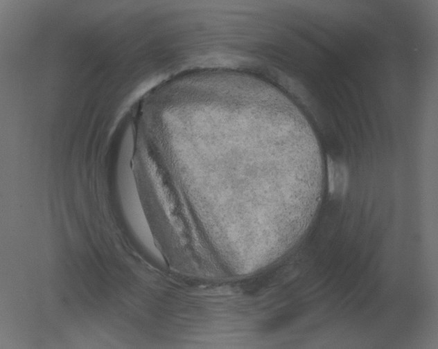 X0000080740675200701121937