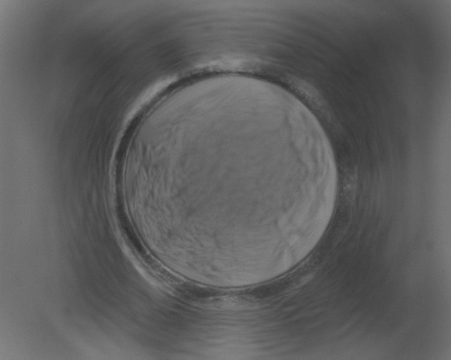 X0000080740678200701121937