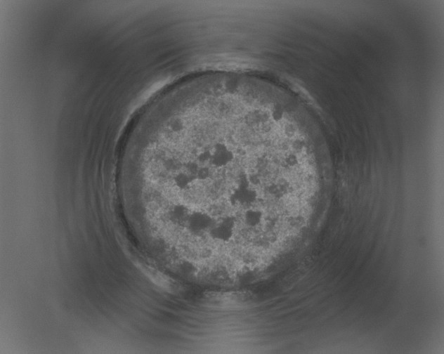 X0000080740679200701121937