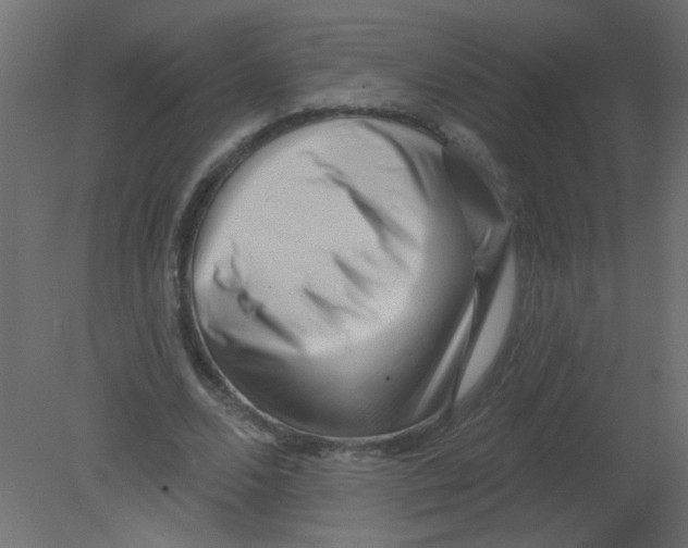 X0000080740680200701121937