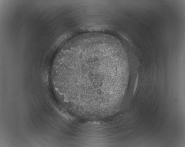 X0000080740687200701121937