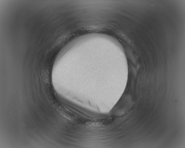 X0000080740689200701121937