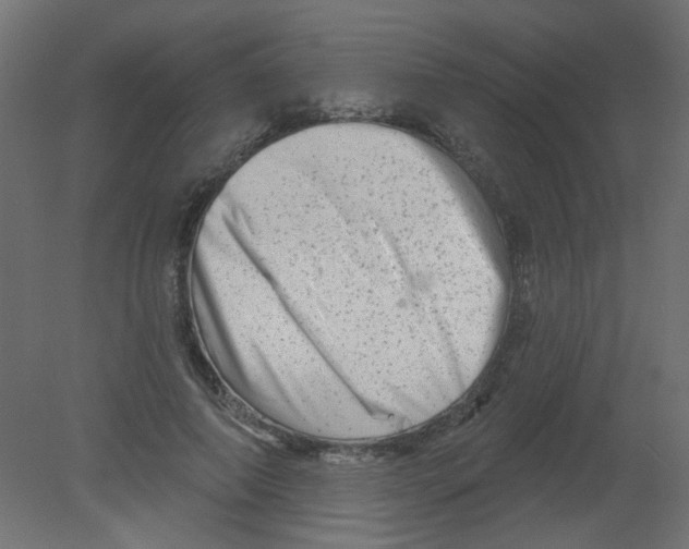 X0000080740690200701121937