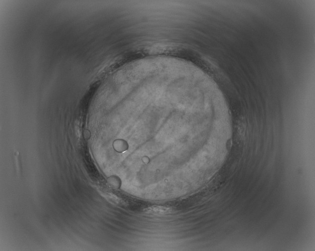 X0000080740691200701121937