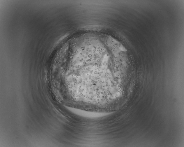 X0000080740692200701121937