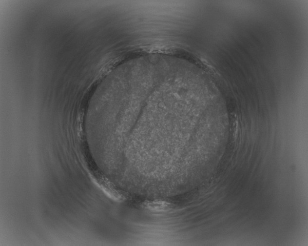 X0000080740695200701121937