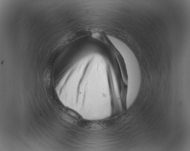 X0000080740697200701121937