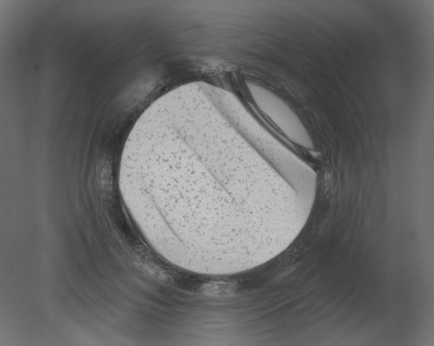 X0000080740700200701121937