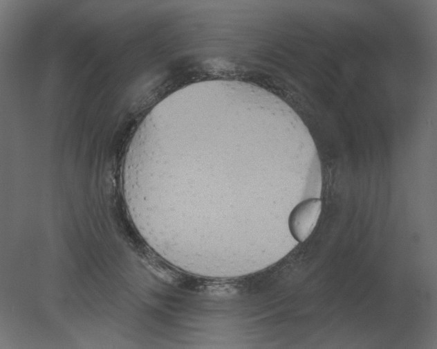 X0000080740702200701121937