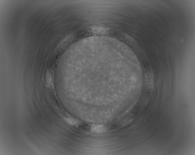 X0000080740705200701121937